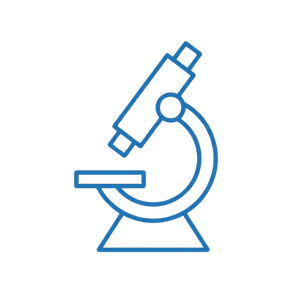 Multidisciplinary team